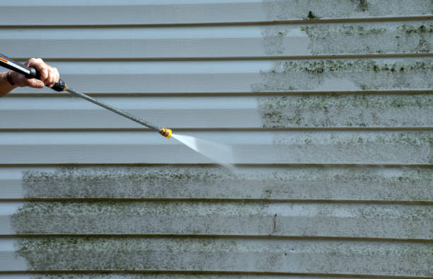Best Parking Lot and Garage Cleaning  in Centreville, MS