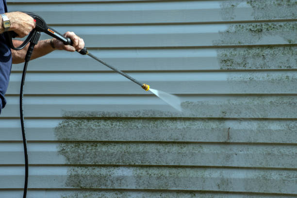 Best Gutter Cleaning  in Centreville, MS